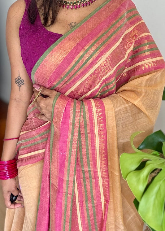 Sandal mul saree, multicoloured wide kanchi border - YCIEON37