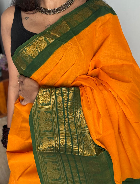 Mango yellow with green border, sungudi, madurai soft cotton - YCCOTNSUJA01