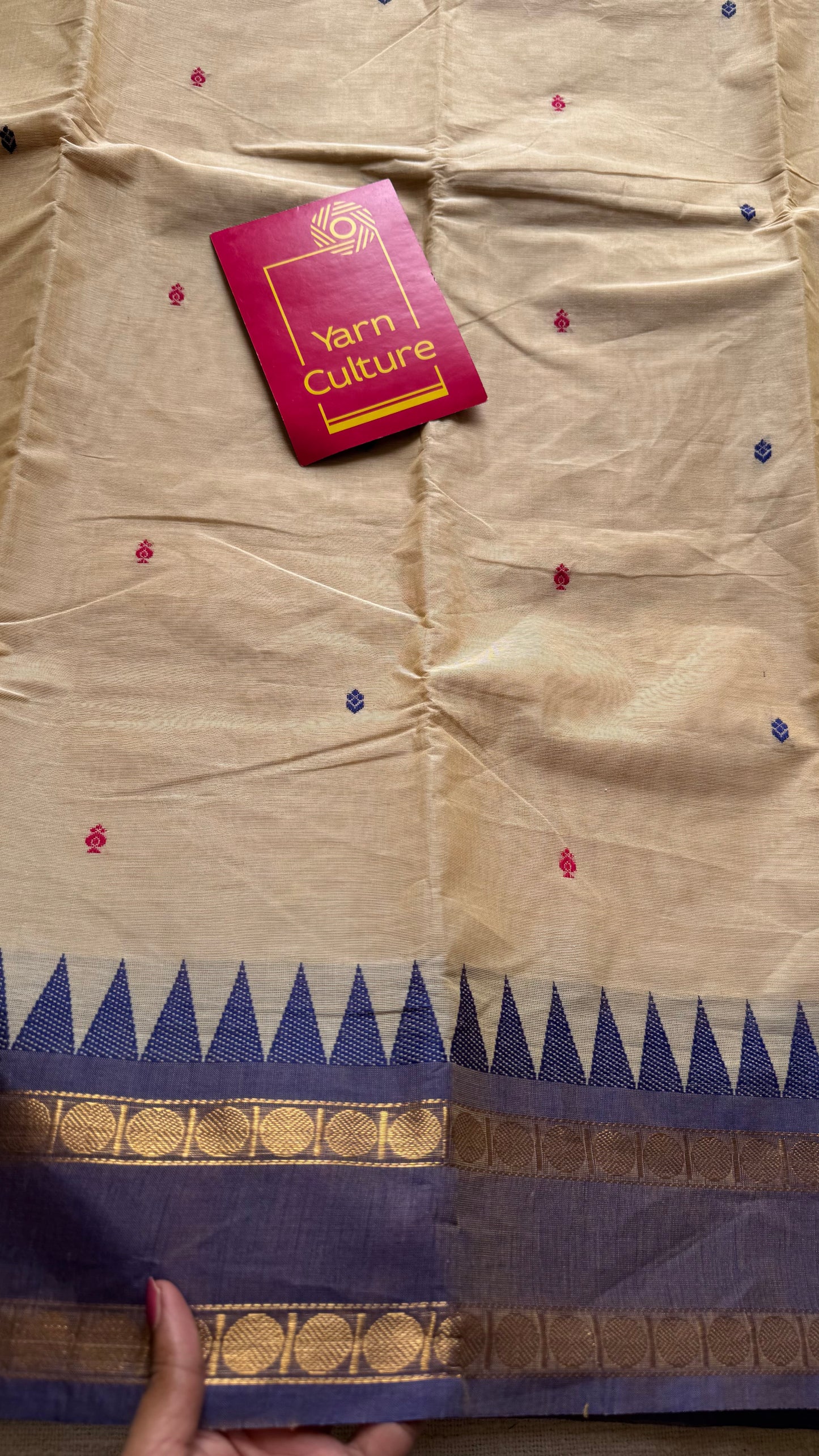 Kanchi cotton saree, cream with light red and violet dual border - YCCOTNAP99