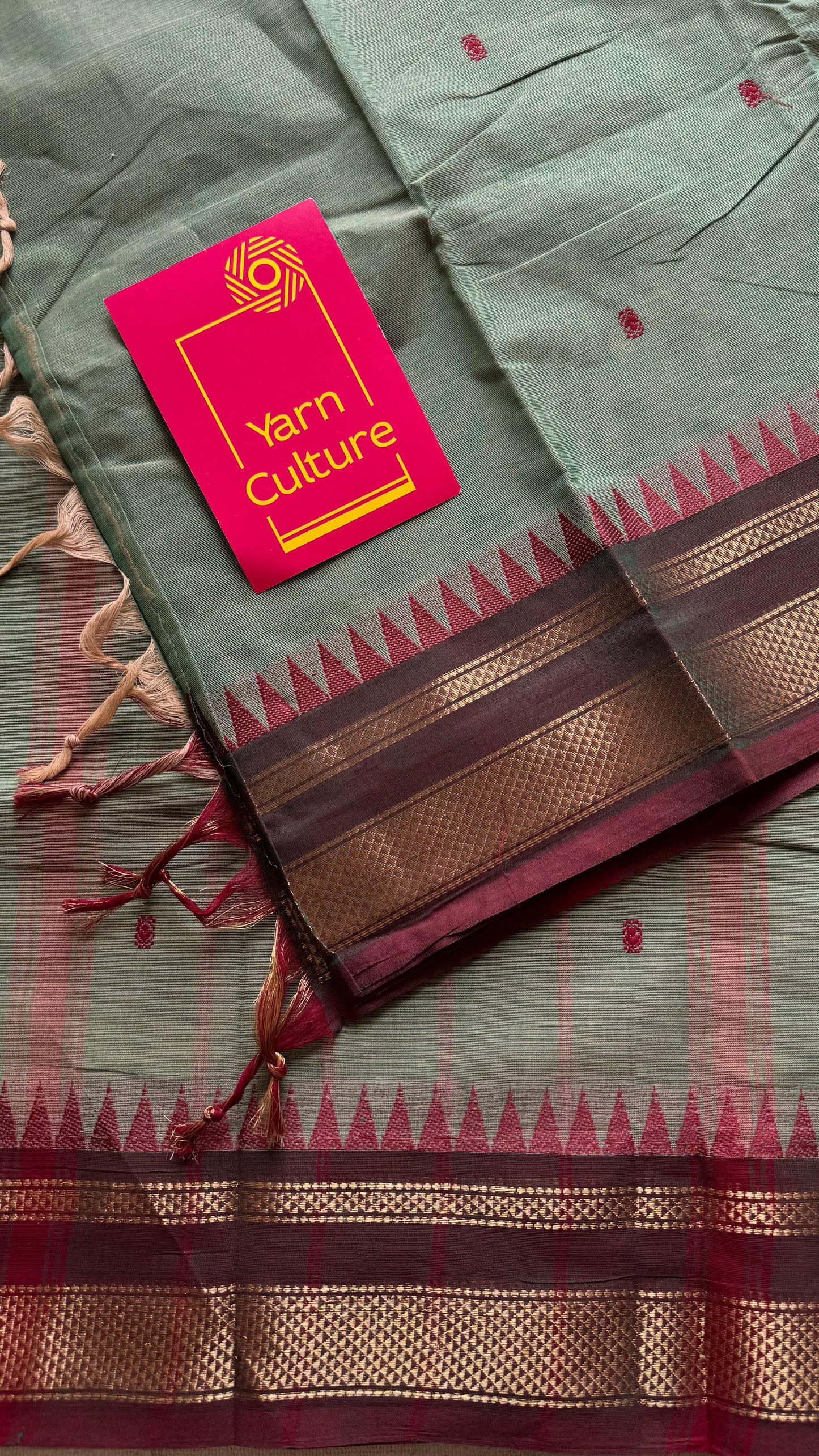 Kanchi cotton saree, mint green with brown khun inspired zari border - YCCOTNAP81