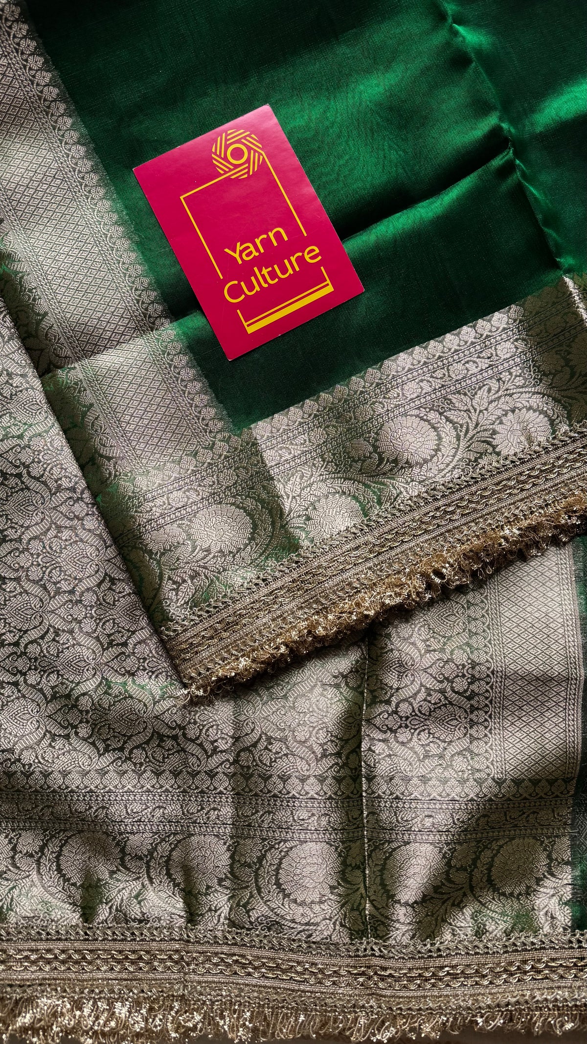 Green tissue Banarasi saree with embellished gold lace border - YCBLTOC76