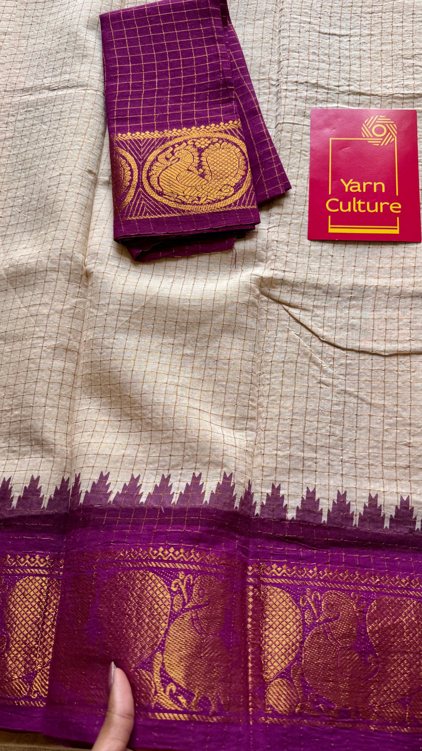 Sungudi cotton checks, ivory gold base, teal and magenta dual tone border, soft cotton - YCIEON100