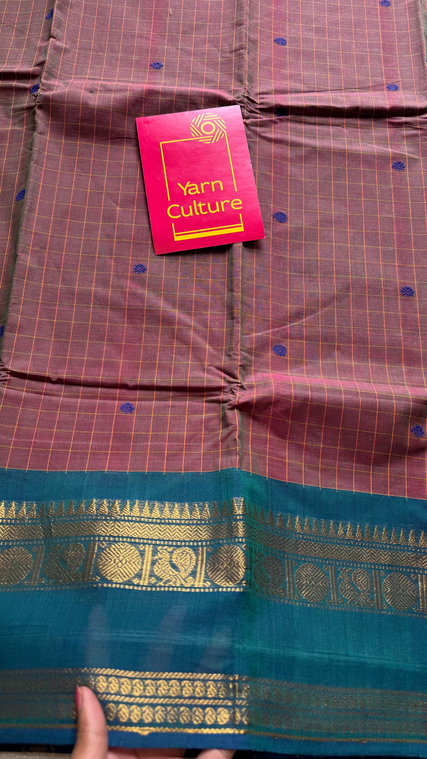 Kanchi cotton saree, light brown checks with green and peacock blue dual toned border - YCCOTNAP77