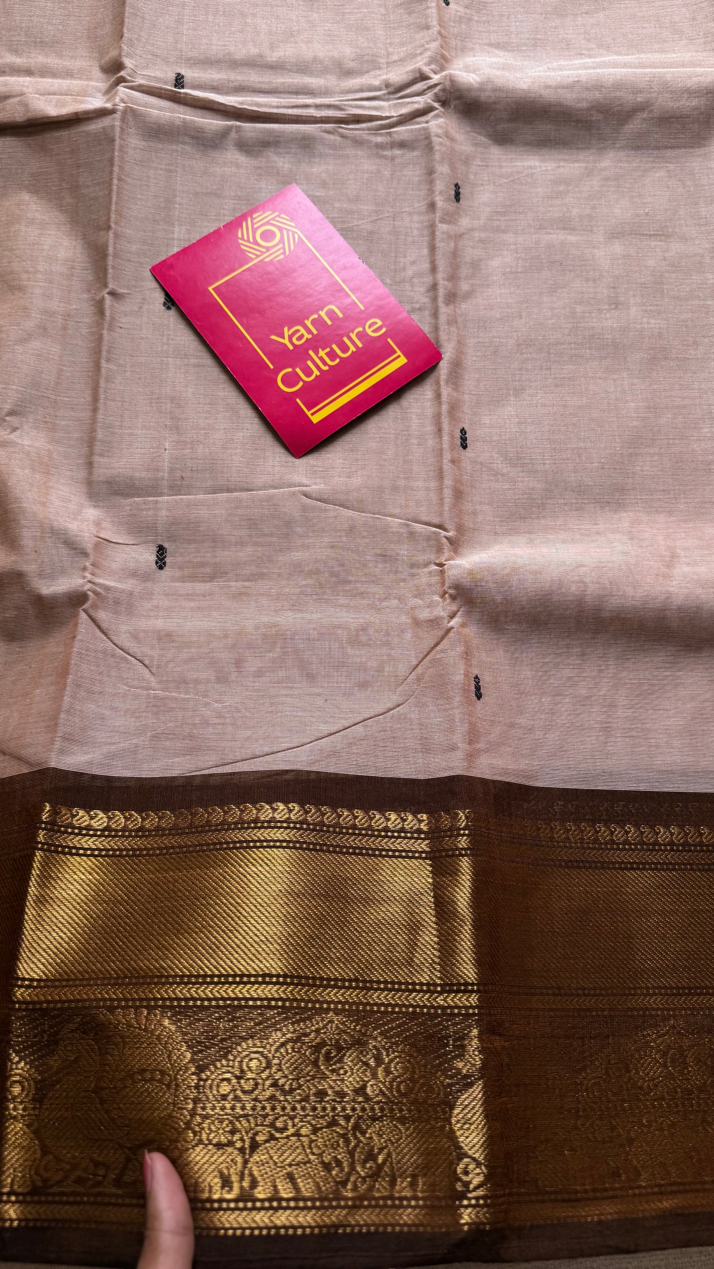 Kanchi cotton saree,dark beige with brown gold zari border - YCCOTNAP82