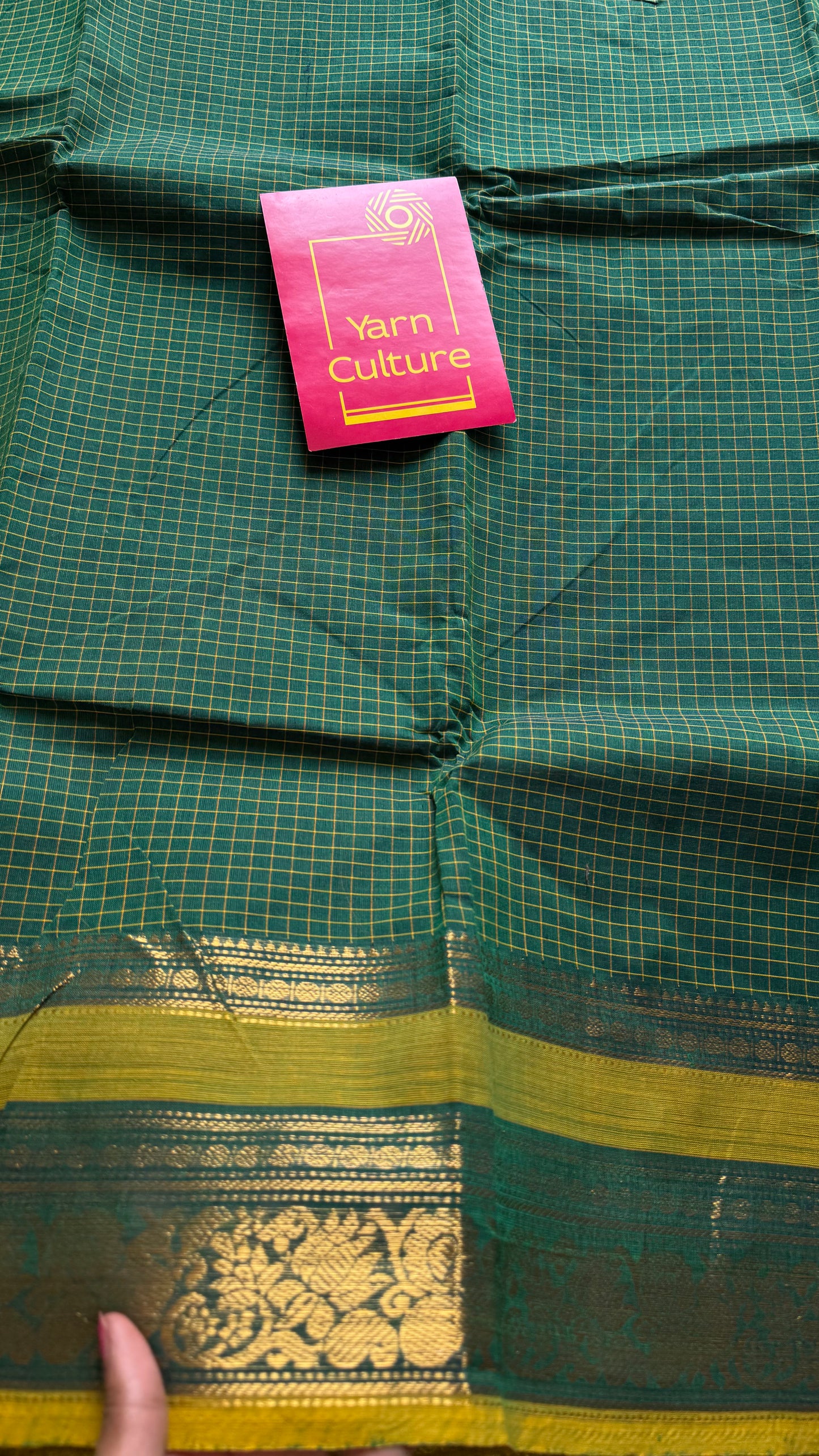 Kanchi cotton saree, green checks with korvai border - YCCOTNAP74