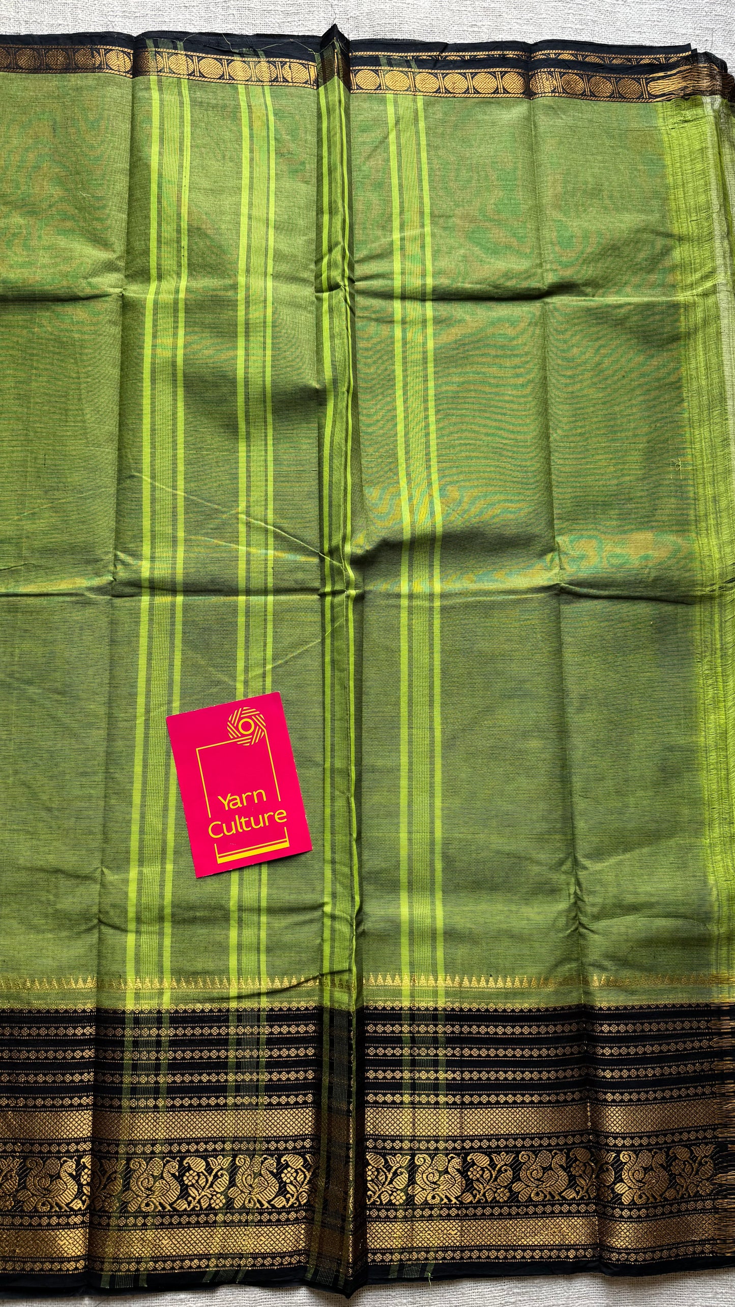 Light green with black wide contrast border, kanchi cotton - YCCOTNKCDE84