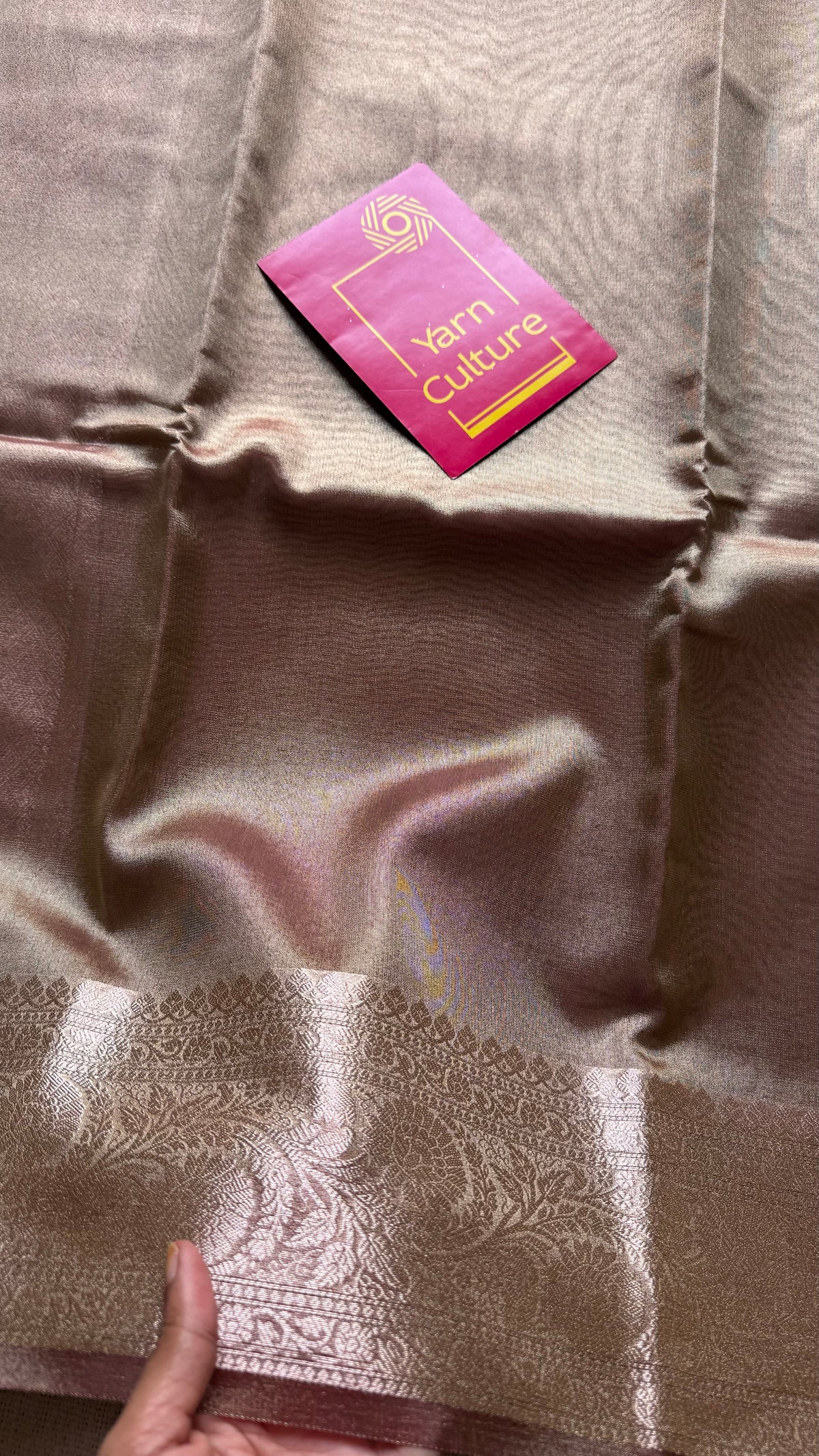 Champagne brown tissue Banarasi saree with zari border - YCBLTOC83