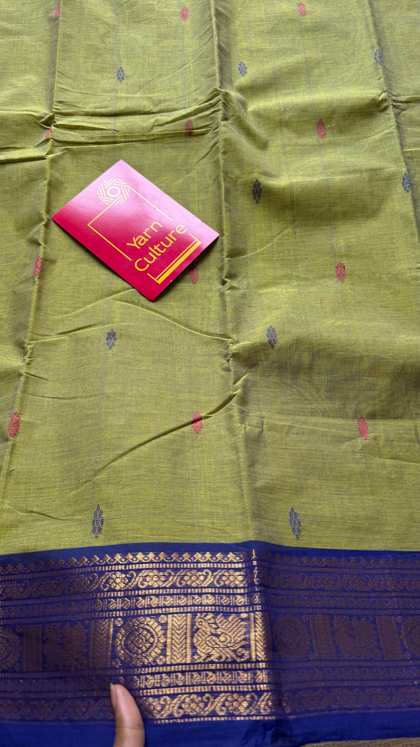 Green with magenta pink and royal blue contrast, kanchi cotton saree - YCCOTNMA326
