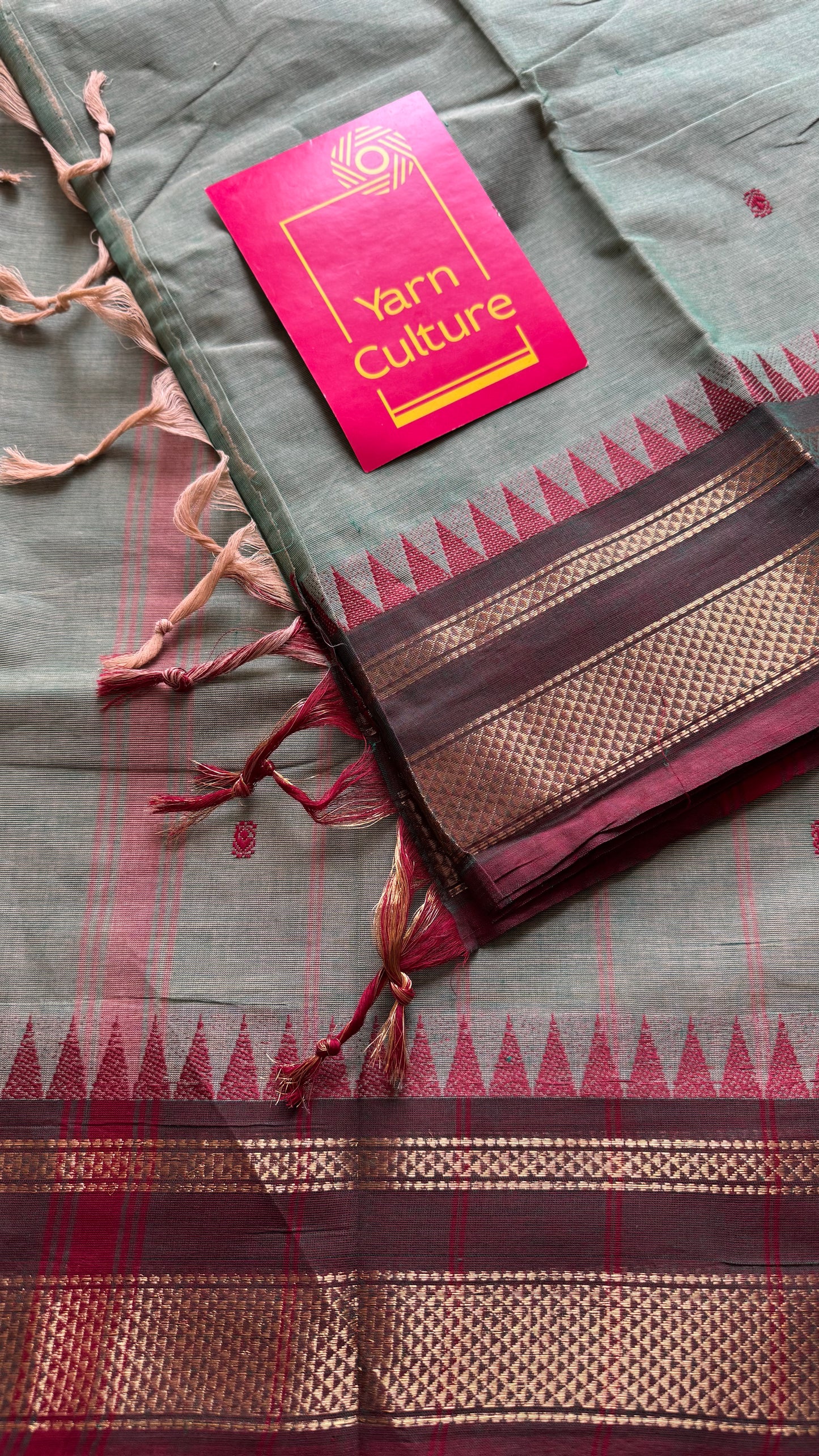 Kanchi cotton saree, mint green with brown khun inspired zari border - YCCOTNAP81