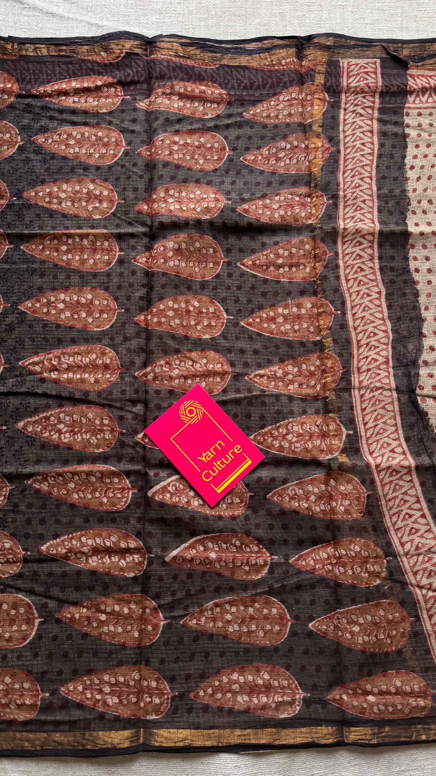 Kaavya, Kota Doria with zari border - YCTOROCBP72