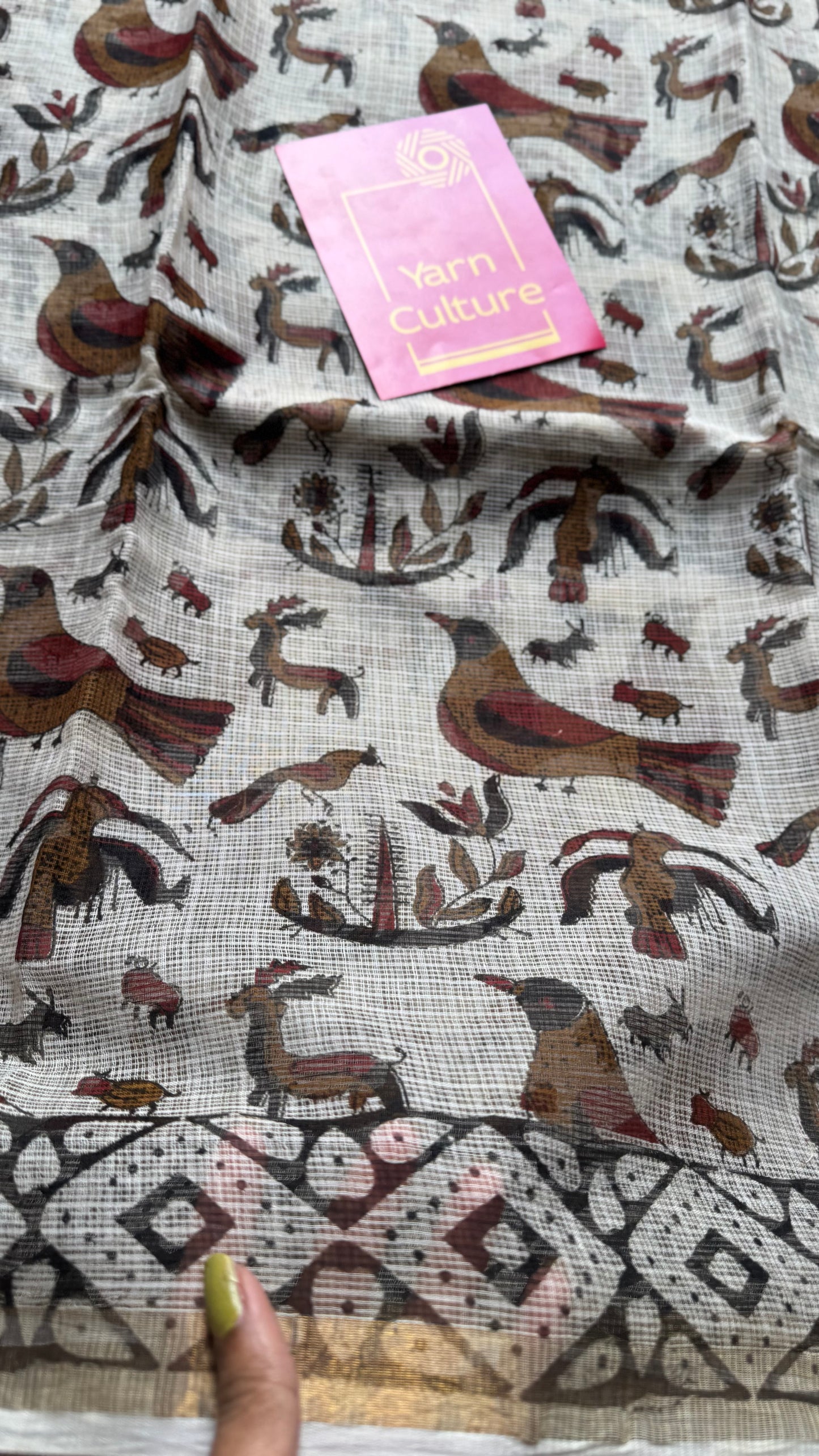 Jungle Noor, Kota Doria with zari border - YCTOROCBP71