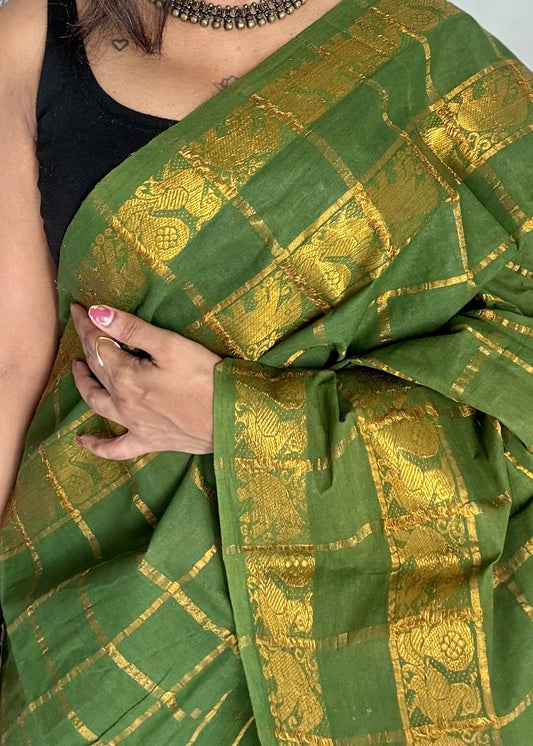 Green kattam with motif double border, kattuchayam dyed madurai cotton saree - YCCOTNMSAP176