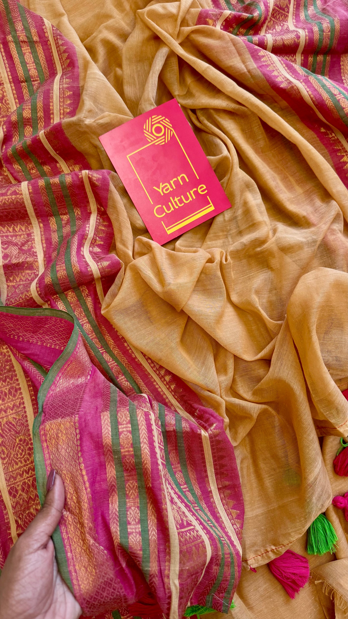 Sandal mul saree, multicoloured wide kanchi border - YCIEON37