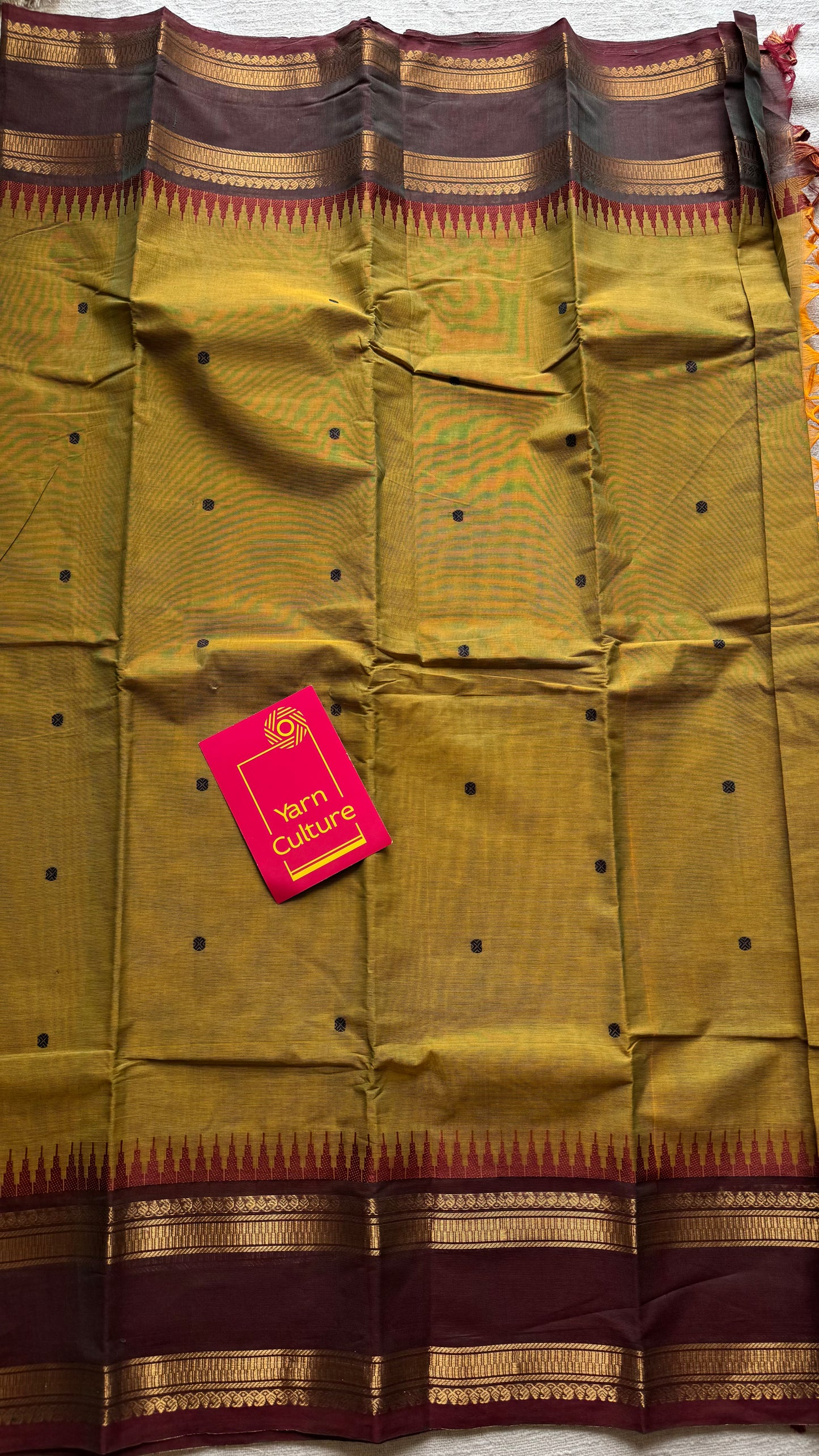 Kanchi cotton saree, light green with brown border - YCCOTNAP85