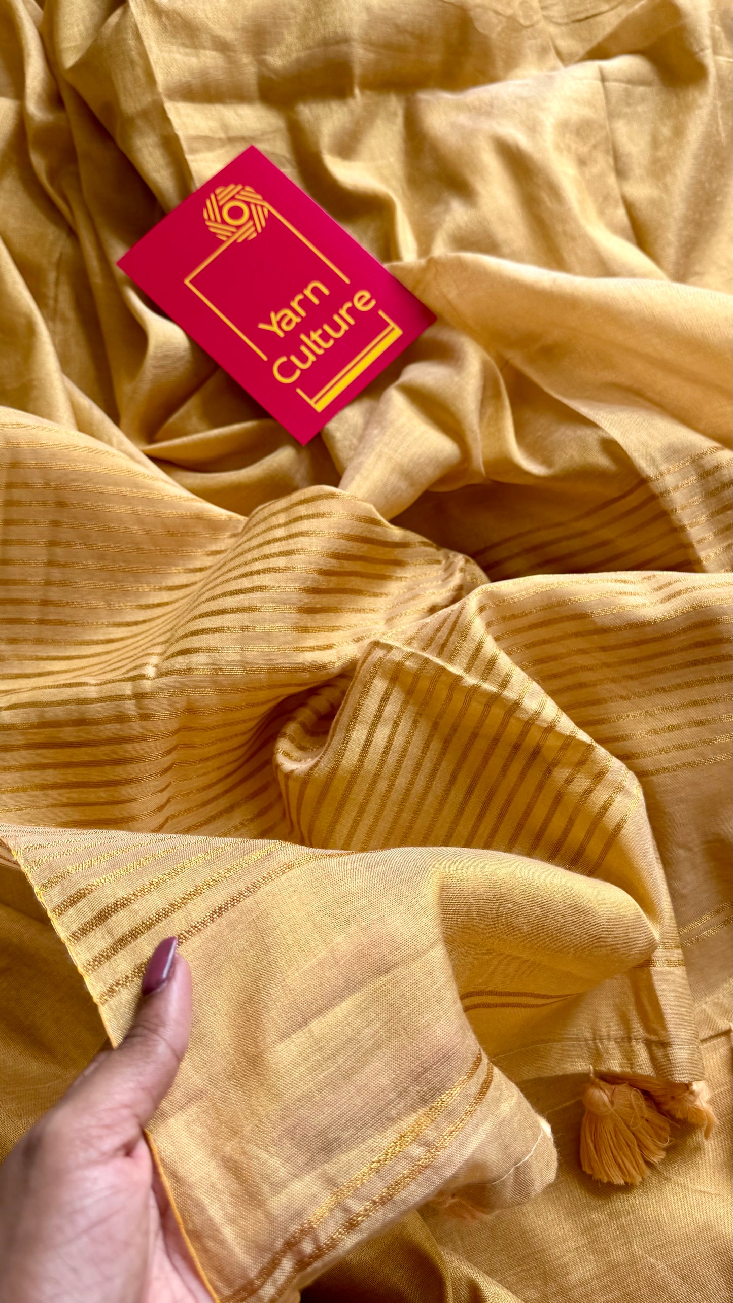 Plain gold mul tissue saree, striped pallu - YCIEON07