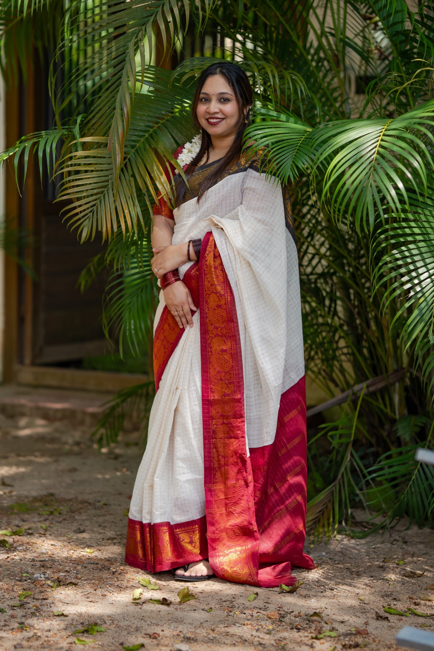 Ayesha : Chembarathi - Sungudi checks, ivory gold base, black and maroon dual tone border, soft cotton - YCIEON162