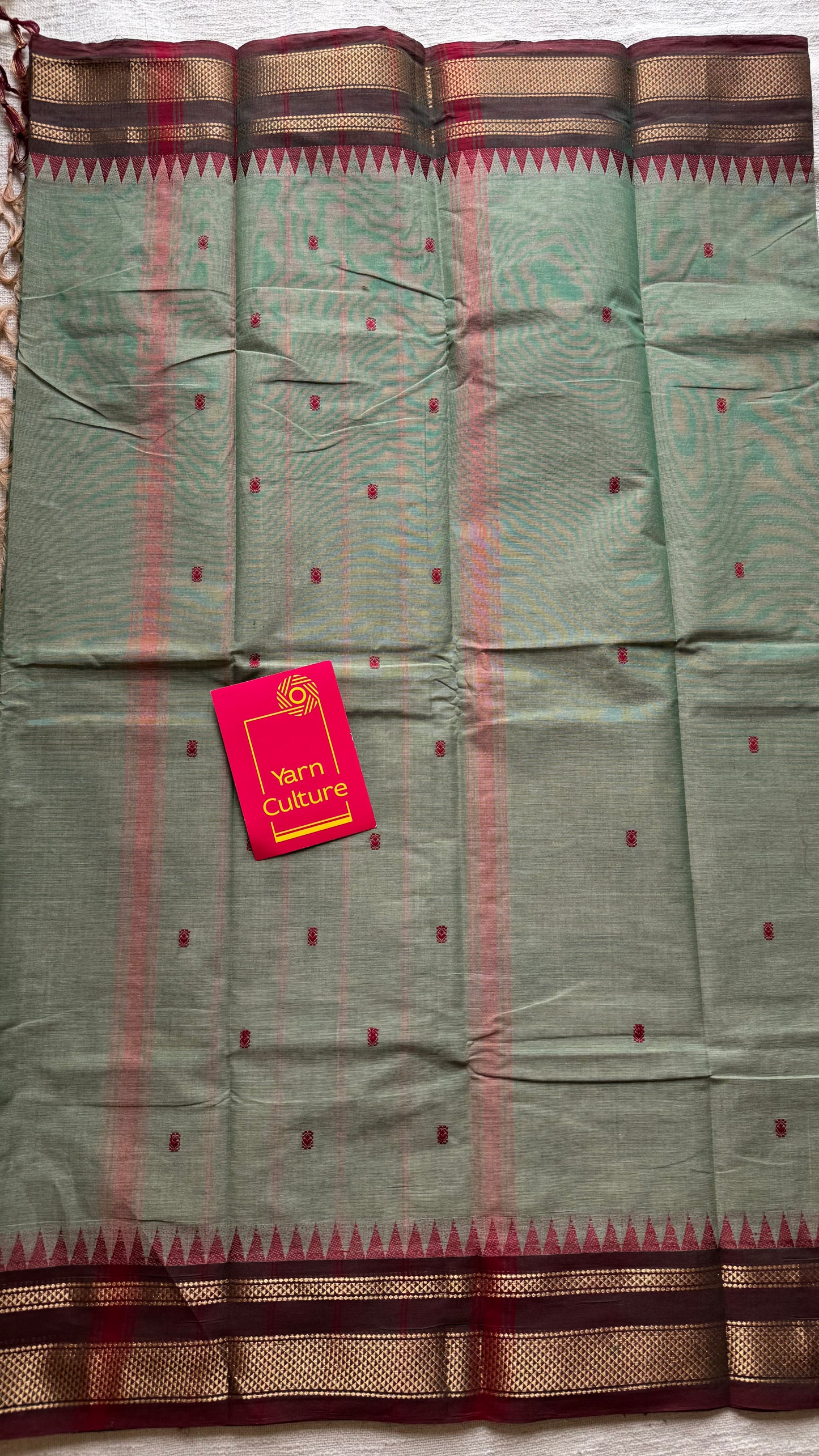 Kanchi cotton saree, mint green with brown khun inspired zari border - YCCOTNAP81