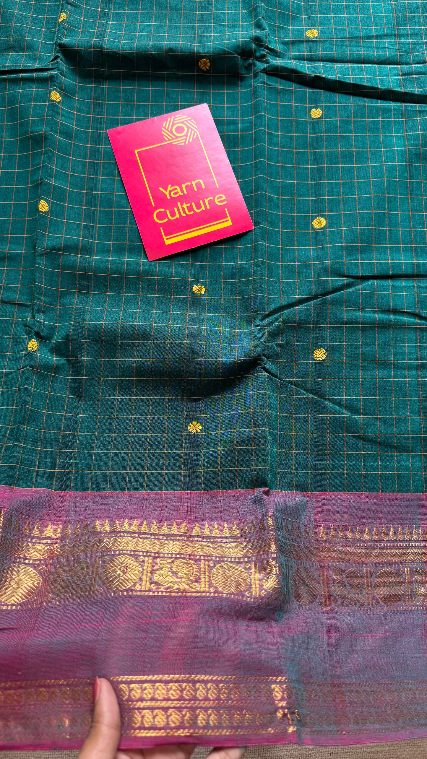 Kanchi cotton saree, green checks with wine and bright green dual toned border - YCCOTNAP76
