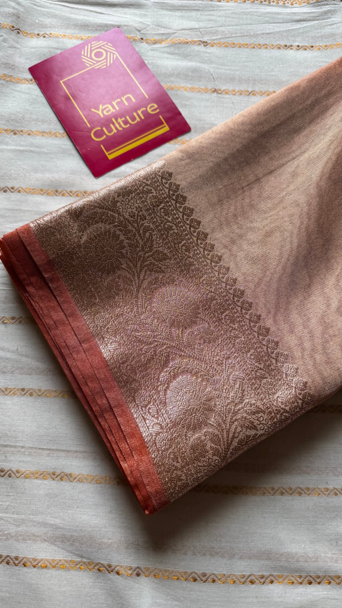Orange tissue Banarasi saree with zari border - YCBLTOC87