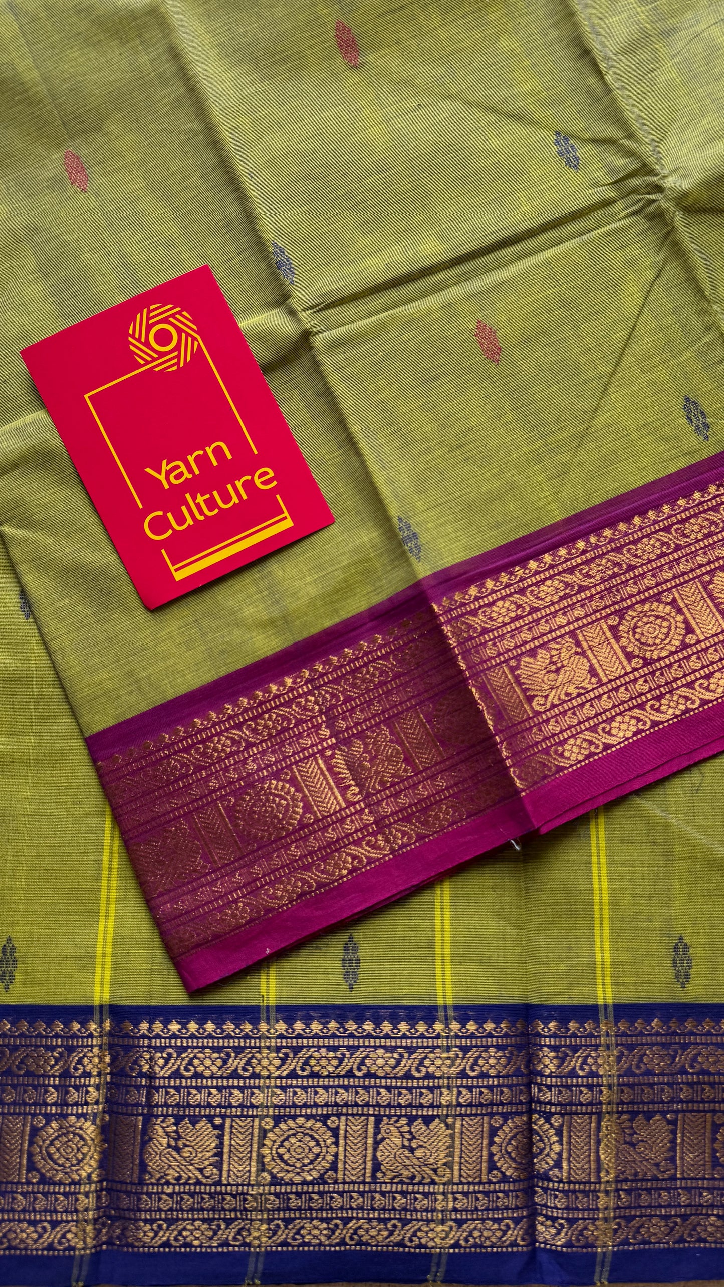 Green with magenta pink and royal blue contrast, kanchi cotton saree - YCCOTNMA326