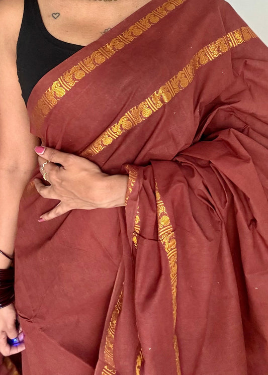 Brown rettaipettu peacock gap border, kattuchayam dyed madurai cotton saree  - YCCOTNMSAP96