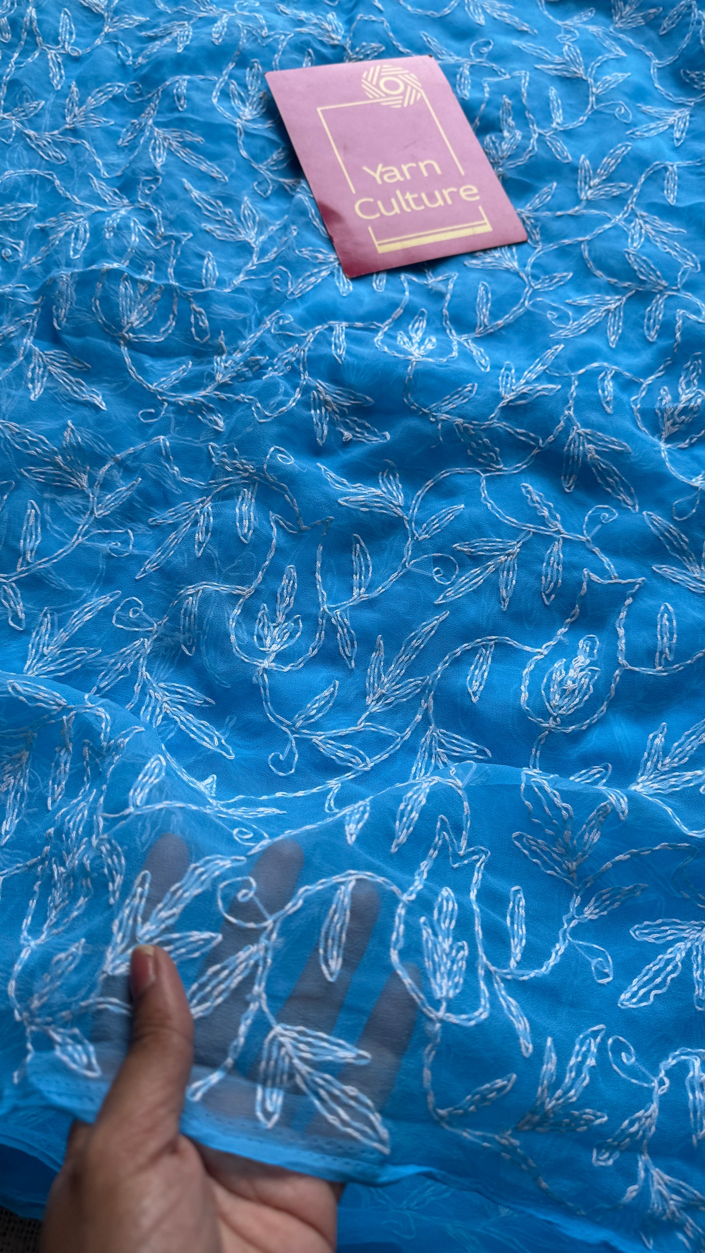 Dariya-e-Noor (ocean of light) – Water Blue Chikankari, georgette