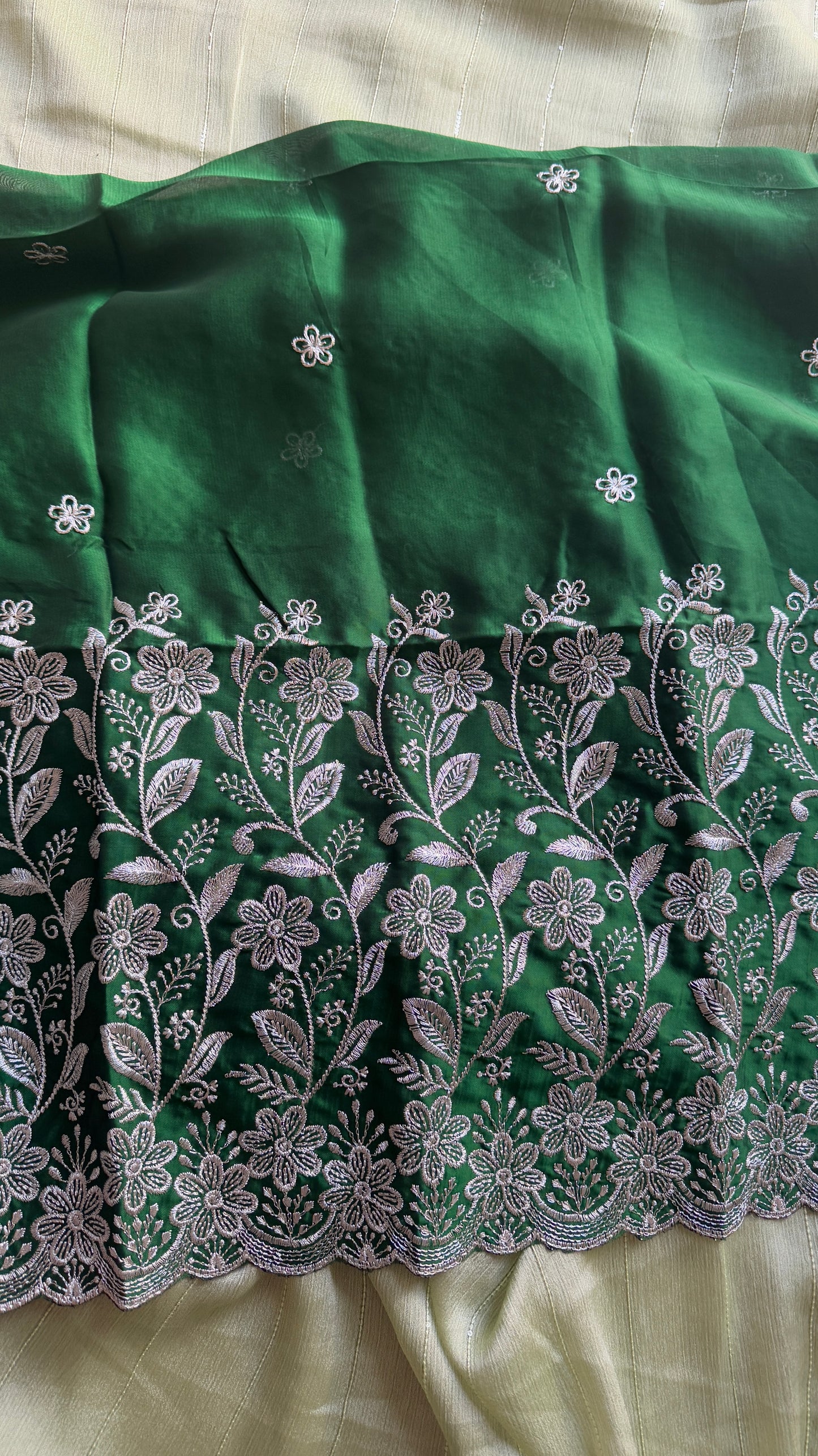 Pastel Green with Sequins Work - Chiffon