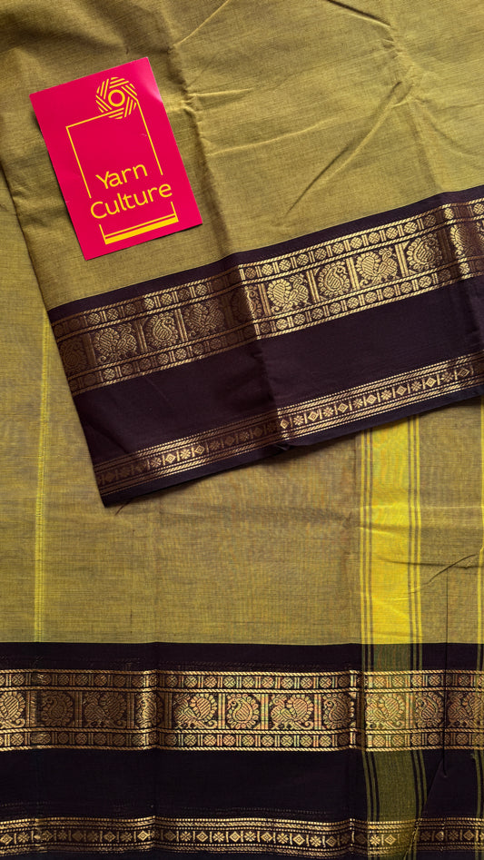 Light Green with Brown Contrast Border - Chettinad Cotton