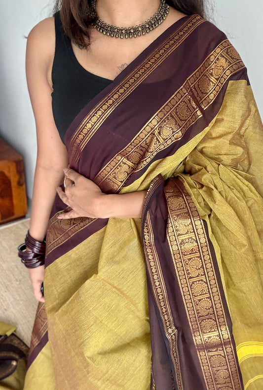 Light Green with Brown Contrast Border - Chettinad Cotton