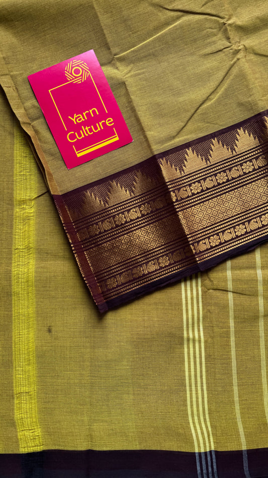 Light Green with Brown Contrast Border (single side) - Chettinad Cotton - YCCOTNCLWB06