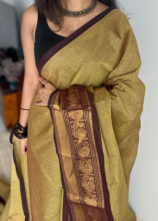Light Green with Brown Contrast Peacock Motif Border (single side) - Chettinad Cotton - YCCOTNCLWB07