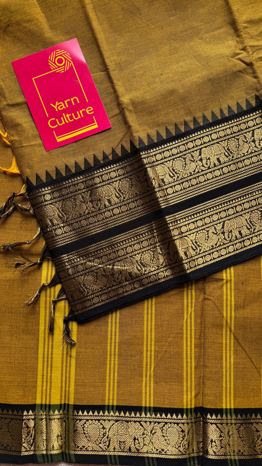 Burnt Yellow with Black Contrast Border - Chettinad Cotton